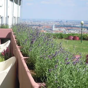  Hostel Palace Rakousko